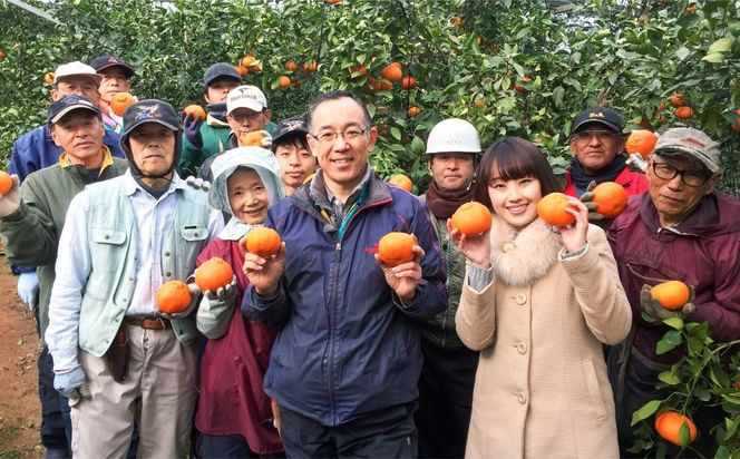 【先行予約】【数量限定】田縁農園の岬（はな）まどんな（生果）3kg （2026年11月25日より順次発送） IKTA003