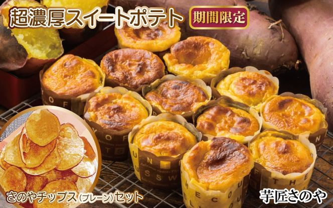 y{򍲖sz010B1759 yԌẑ ZXC[g|eg+̂`bvXiv[jt