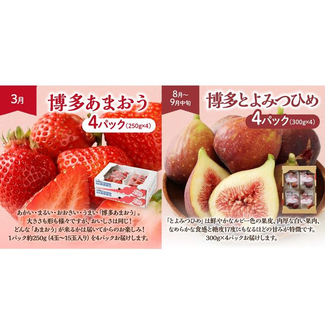 【定期便/年４回】旬の福岡フルーツ定期便【ほたるの里】_HB0087