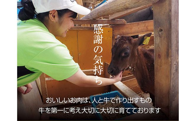 京都もり牛 赤身 スライス 500g モモ・ウデ