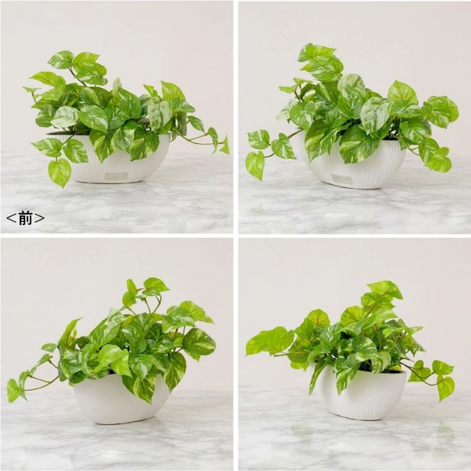 アートフラワー エミリオ・ロバ ポトスL TTTTA-05120