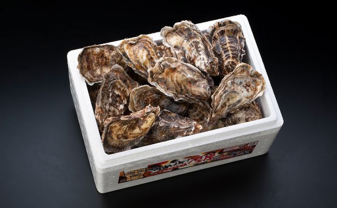 定期便 4回 季節によって味が違う！春夏秋冬「 牡蠣 」 【配送不可：沖縄・離島】 魚貝類 生牡蠣 かき マルえもん