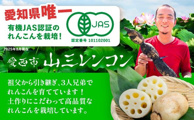 有機JAS認証 土付きレンコン 5kg れんこん 有機栽培 産地直送 野菜 愛西市 / 株式会社山三レンコン [AEBK004]