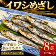 いわし　めざし　60g×8袋　マイワシ　ウルメイワシ | 鰯 真イワシ 魚 魚介 水産 網焼き 炭火焼 おつまみ 酒の肴 ご飯のお供 京都 宮津市 myz02 myz11 myz17