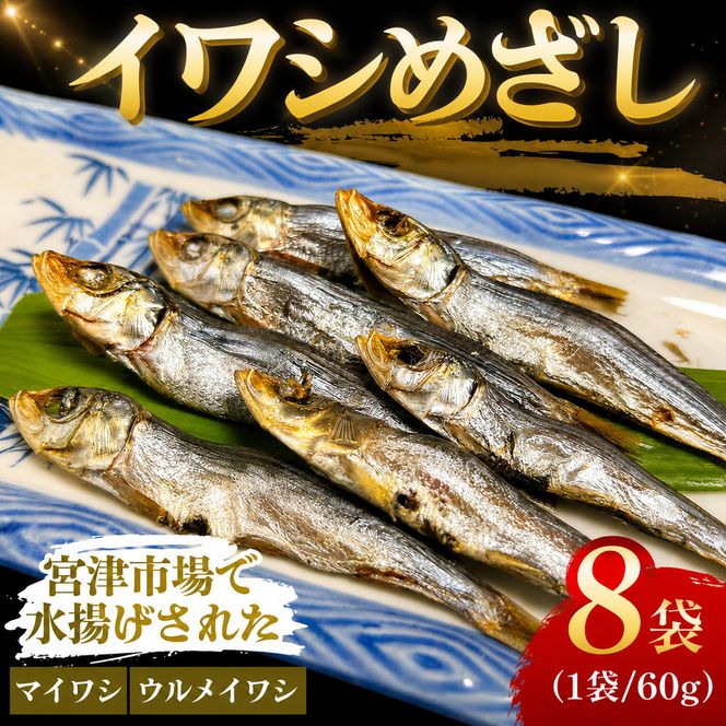 いわし　めざし　60g×8袋　マイワシ　ウルメイワシ | 鰯 真イワシ 魚 魚介 水産 網焼き 炭火焼 おつまみ 酒の肴 ご飯のお供 京都 宮津市 myz02 myz11 myz17