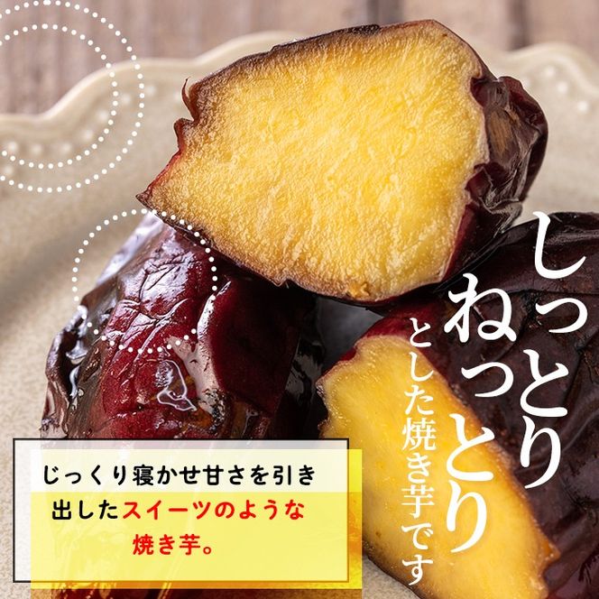 isa741 ＜予約受付中！2025年12月発送分(12月中に発送)＞ふみおじいちゃんのやきいも(紅はるか・計3.0kg) 冷凍 パック 小分け サツマイモ 焼き芋 天然スイーツ 焼芋 紅はるか 【いさ工房】