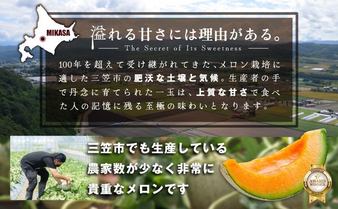 《2026年分受付中》三笠メロン3玉入(4.0kg以上)【0130101】