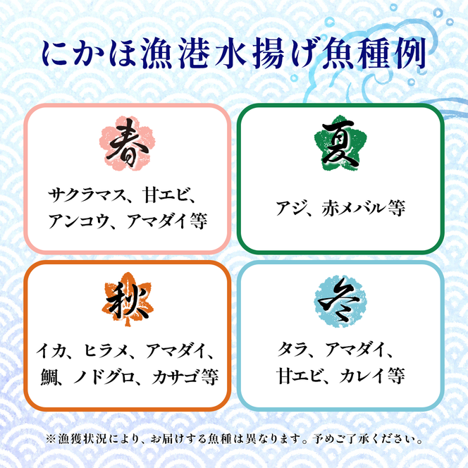 鮮魚 冷蔵 クール便「 開けたらすぐ食べられる下処理済み 海産物 4～5人前 セット 」みずしまや【 パック 詰め合わせ 海鮮セット 鮮魚ボックス 海鮮 海の幸 魚介 魚介類 刺身 切り身  秋田県 にかほ 】 