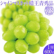 2026年予約受付中 シャインマスカット晴王1房 約600g 7月～8月出荷 人気 岡山県産 種無し 皮ごと食べる みずみずしい フレッシュ 晴れの国 おかやま 果物大国 ハレノフルーツ