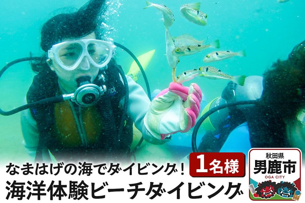 [なまはげの海でダイビング!!] 海洋体験ビーチダイビング 1名様 秋田県 男鹿半島 男鹿市|23_sea-010101
