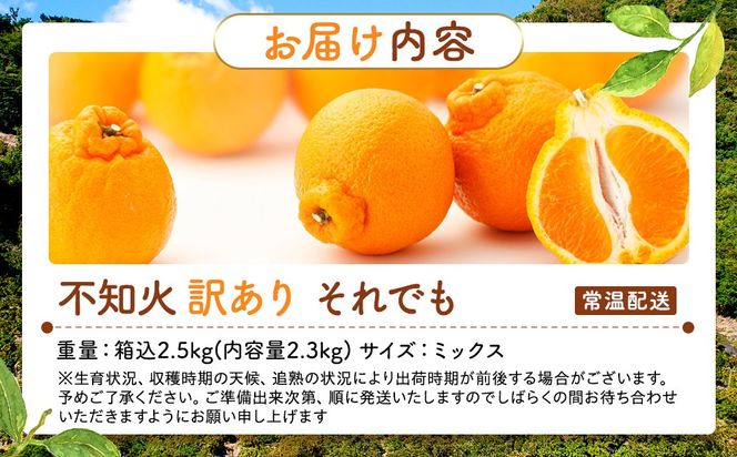 不知火 訳あり それでも 有田の不知火 箱込 2.5kg (内容量約 2.3kg) サイズミックス 和歌山県産 産地直送 【みかんの会】	AX145