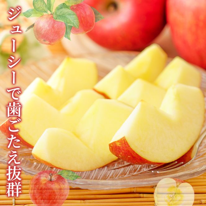 信州小諸　松井農園のサンふじ　約2kg 果物類・林檎・りんご・リンゴ