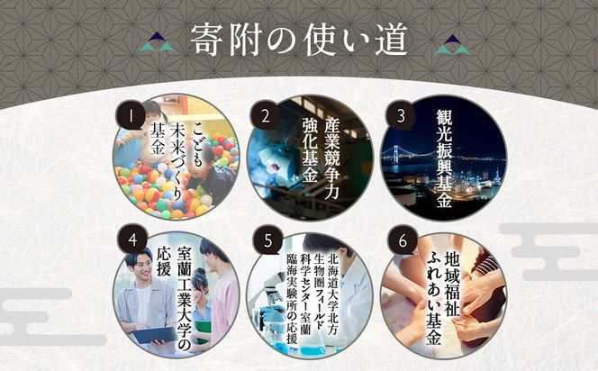 【返礼品なし】北海道室蘭市・応援寄附10,000円（寄附のみの応援受付 ※返礼品はございません） MROBR006