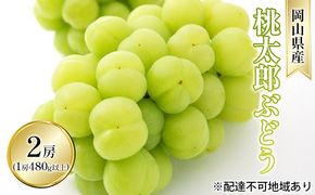 ぶどう 2026年 先行予約 桃太郎 ぶどう 2房（1房 480g以上 露地栽培）贈答用 ブドウ 葡萄  岡山県産 国産 フルーツ 果物 ギフト 