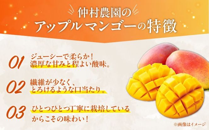 【説明必見】果物　フルーツ　マンゴー　 2kg 産地発送　甘い　贈答用　ギフト 説明必見】果物 フルーツ マンゴー 2kg 産地発送 甘い 贈答用
