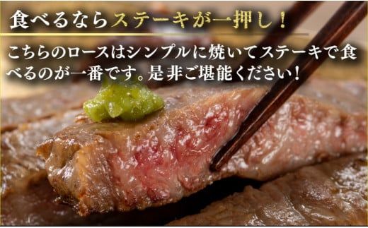 200g×8枚 佐賀牛｢ロースステーキ｣(年6回) R-18