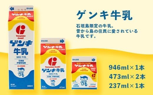 【ふるさと納税限定】八重山ゲンキ乳業 オールスターセット【八重山ゲンキ乳業】【ゲンキ牛乳】【石垣島のソウルドリンク ゲンキクール】【ゲンキカフェ】【さんぴん茶ミルクティー】GN-2