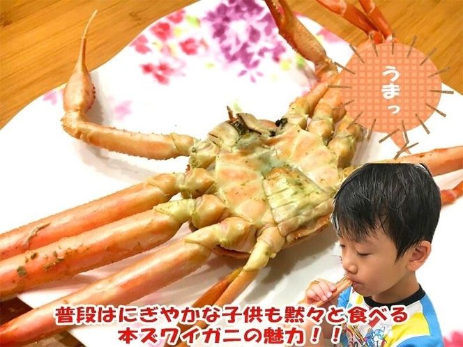 【数量・期間限定】【訳あり】新潟県村上市寝屋漁港産　本ズワイガニ　約2kg（2～6尾入） 1079001