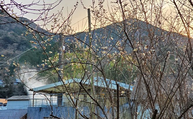 純米吟醸 橙の英君 720ml×1本 お酒 アルコール 日本酒 純米吟醸酒 フルーティー 爽やかな酸味 家飲み 宅飲み 晩酌 備前雄町 