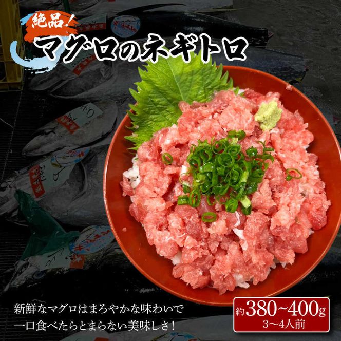 【先行予約】土佐の魚とお酒のおきゃくセット C（ネギトロコース）〈2026年11月下旬から2027年5月下旬発送〉マグロのネギトロ 約380～400g 3～4人前 まぐろ 鮪 ねぎとろ 魚介 海鮮 純米吟醸生原酒 CEL-24 高知県 土佐市【さかなの森澤マル祐】[BQAM019]