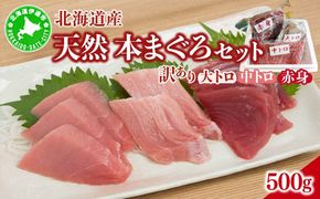 北海道産本マグロ（大トロ・中トロ・赤身）訳ありセット 500g 【ogm-024】