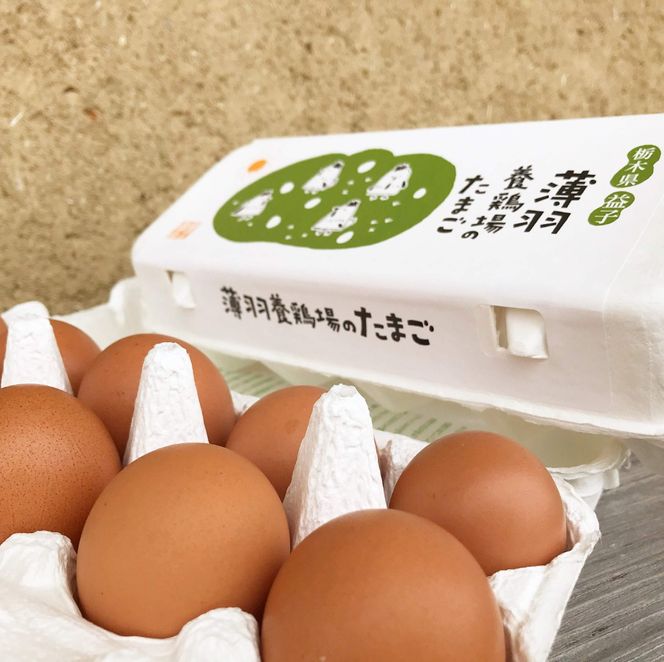 yȖ،vqz炿̐Ԃ܂30 |Ȗ، vq ӂ邳Ɣ[ ܂  ^}S Ԃ܂ lC Z H׃`N (BC007)