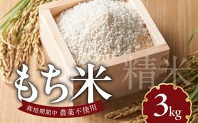 もち米3kg N0182-YA198