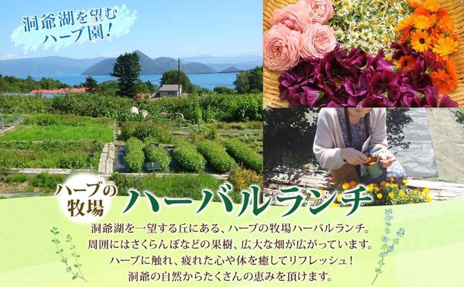 北海道 摘みたて ハーブソルト 作り 体験 ハーブ ソルト 塩 岩塩 調味料 調味塩 オリジナル ハーブ畑 天然 乾燥ハーブ ドライハーブ 料理 ハーバルランチ 送料無料 洞爺湖 