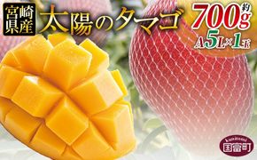 ＜宮崎県産 太陽のタマゴ A等級 A5Lサイズ×1玉（約700g）＞2025年4月下旬～2025年6月下旬迄に順次出荷【 太陽のタマゴ 完熟マンゴー 完熟 マンゴー フルーツ トロピカルフルーツ 果物 くだもの おいしい 美味しい 甘い あまい 】【b0912_ja】