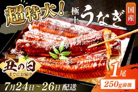 【7月24～26日配送】超特大！極上！国産うなぎ蒲焼 1尾 250g前後 ふるさと納税 鰻 九州産 国産 ウナギ 有頭 蒲焼き うな丼 うな重 うなぎ 国産　YK00400_01