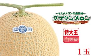 クラウンメロン（白等級）特大玉 １玉入 