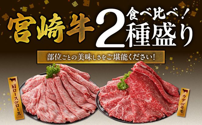 畜産農家応援! 宮崎牛スライス2種セット500g×2パック_AC-N203