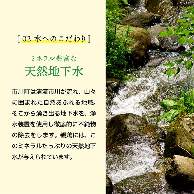 【累計600万個突破！】【TVで紹介されました】タズミの卵Ｍサイズ（20個）005AB02N.／こだわり卵 市川町産 兵庫県産 たまご 卵 たまごかけご飯 玉子 生卵 鶏卵 タマゴ 卵焼き TKG