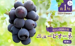 【2026年先行予約】 ぶどう 岡山県産 ニューピオーネ （ 種無し ）約1kg（2房） 《2026年8月下旬-9月中旬頃出荷》 葡萄 ブドウ フルーツ 果物 スイーツ 数量限定 期間限定 岡山 里庄町 