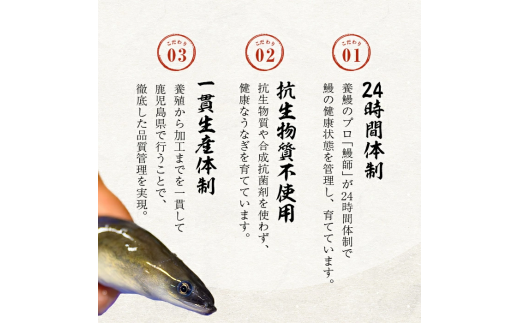 【無薬養鰻】 鹿児島産 山田のうなぎ ＜計480g以上＞（160g以上×3尾） 肝串セット 【ポータル限定】 a6-062-km