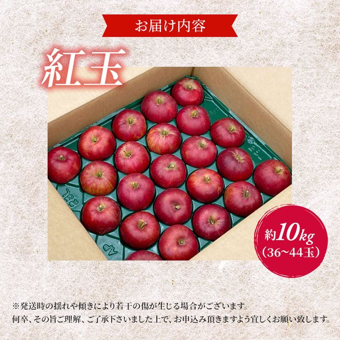 【訳あり】りんご 青森 紅玉 約 10kg (36～44玉) 青森県産 リンゴ サイキチ農園 青森県 鰺ヶ沢町産 フルーツ 果物 不揃い 傷 林檎