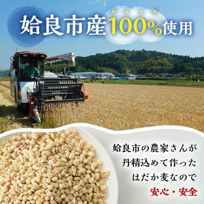 a1029 《訳あり》姶良市産はだか麦35g×15包(合計525g)【竹之内穀類産業】姶良市 国産 ご飯 麦ごはん はだか麦 穀物 食物繊維 小分け 常温 常温保存 メール便