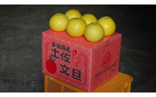 【訳あり】三愛果樹園の土佐文旦　約5kg【三愛果樹園】 [BQAO010]