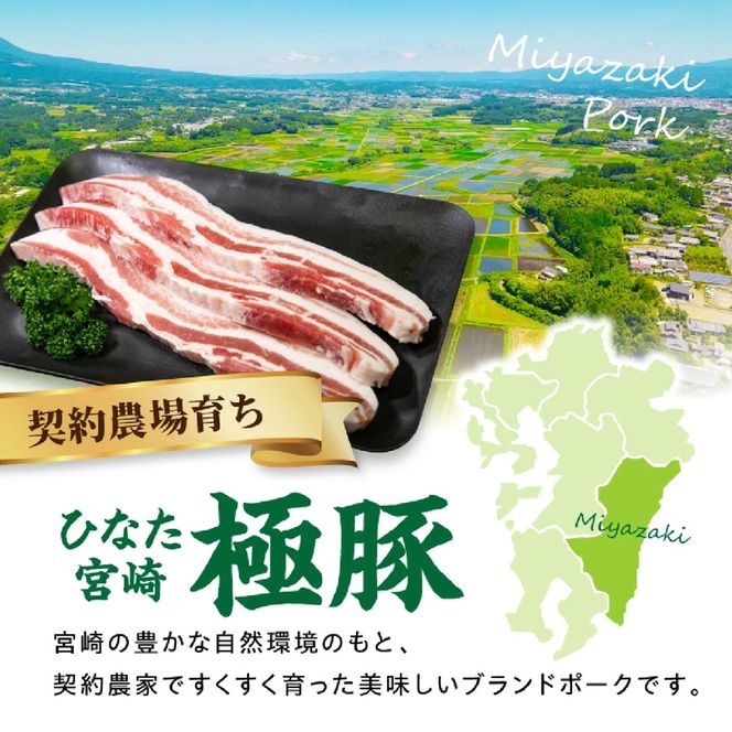 ひなた宮崎極豚バラ新鮮厚切り肉 計600g（サムギョプサル、BBQ、焼肉）