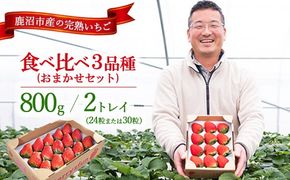 【先行予約/数量限定】【贅沢いちごセット】完熟いちご食べ比べ3品種（24粒または30粒）おまかせセット2トレイ800g | 栃木県 鹿沼市 産地直送 旬 いちご こだわり 高級品 贈答用 イチゴ 苺 果物 フルーツ 期間限定 ※2026年12月～発送
