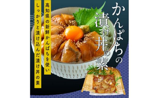 KYF107　海鮮 漬け丼 3種類 食べ比べセット 真鯛 ぶり かんぱち 支援 冷凍 保存食 海鮮 小分け パック 漬け 本場 高知 海鮮丼 パパッと 簡単 惣菜 そうざい 一人暮らし 人気 6000円 〈高知市共通返礼品〉