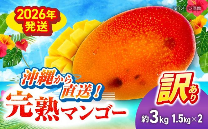 yꌧszys\ 2026N \tz 󂠂 n}S[ 3kg (1.5kg (3`6) ×2) }S[  ʕ t[c Mtg s / Ղ`s [BCAA003]