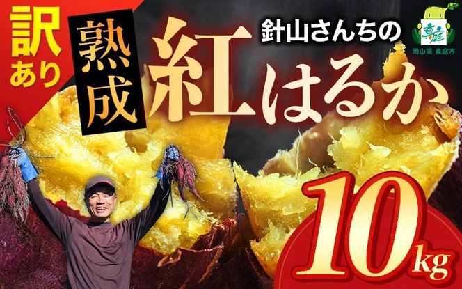 【訳あり】針山さんちのさつまいも 紅はるか 10kg / さつまいも 紅はるか 真庭 人気 【ybrf003-01】