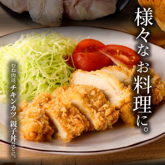 名古屋コーチン　むね肉1.2kg大満足セット［001T11］