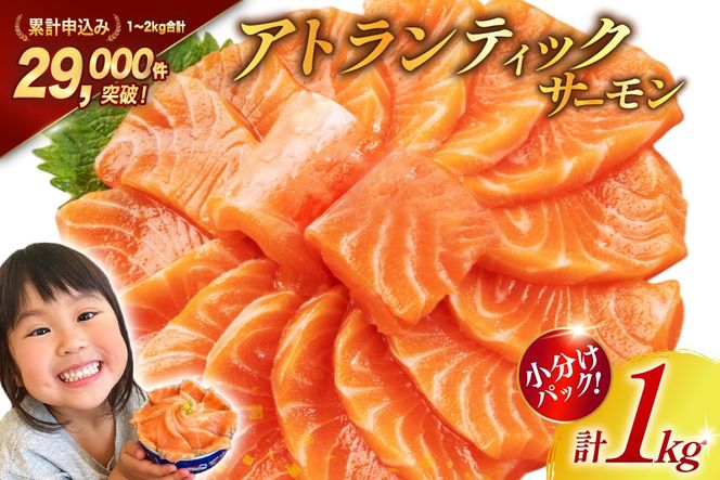 サーモン ノルウェー産 アトランティックサーモン 総重量 1kg (正味重量850g) [カネダイ 宮城県 気仙沼市 20565509] 魚 魚介類 サーモン 刺身 生食 生 アトランティック アトラン 小分け 冷凍 鮭 さけ 訳あり ノルウェー