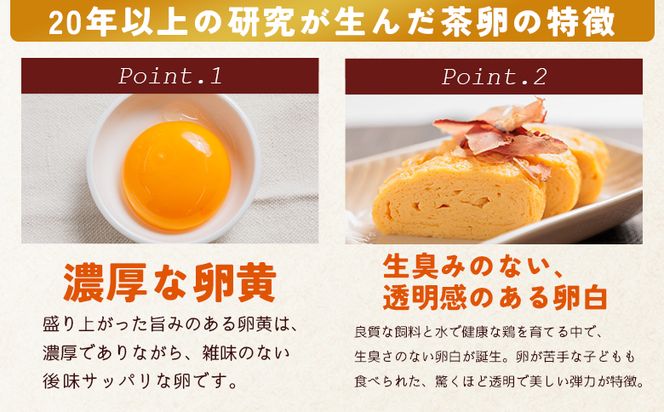 たまご コロンブスの茶卵  10個入×6P 卵 生卵 茶卵 濃厚 卵黄 卵白 生臭みなし 透明感 卵かけご飯 たまご 玉子 朝ごはん オムライス 鶏卵 国産 kl-0005