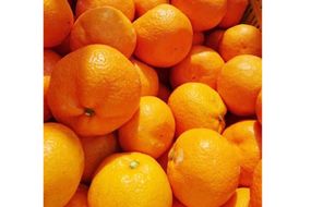 【先行受付】【数量限定】【家庭用】南柑20号（生果）5kg（2025年12月上旬頃より順次発送） IKTQ011