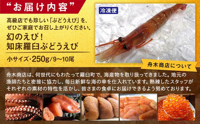 幻のぶどうえび（小・250g / 9～10尾前後） エビ 海老 刺身 海鮮 羅臼町 北海道 海産物 魚介 魚介類 生産者 支援 応援 016942_AH290