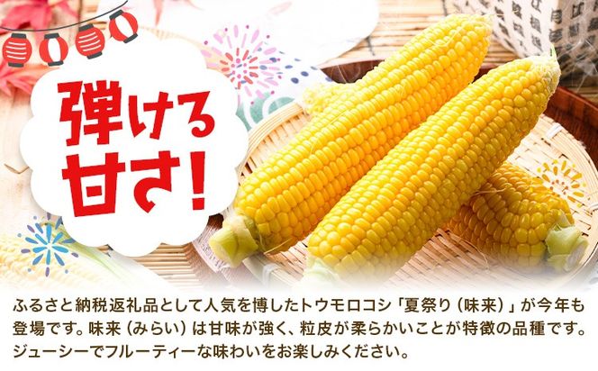 新登場★ トウモロコシ 味来 【収穫後当日出荷！】 夏祭り 選べる 約5kg 約10kg 13本前後 26本前後 《6月中旬-7月中旬頃出荷予定》 茨城県 結城市 野菜 甘味が強い 柔らかい ジューシー フルーティー 夏野菜 コーン【配送不可地域あり】(北海道・沖縄・離島)---yuki_local_759_5kg---