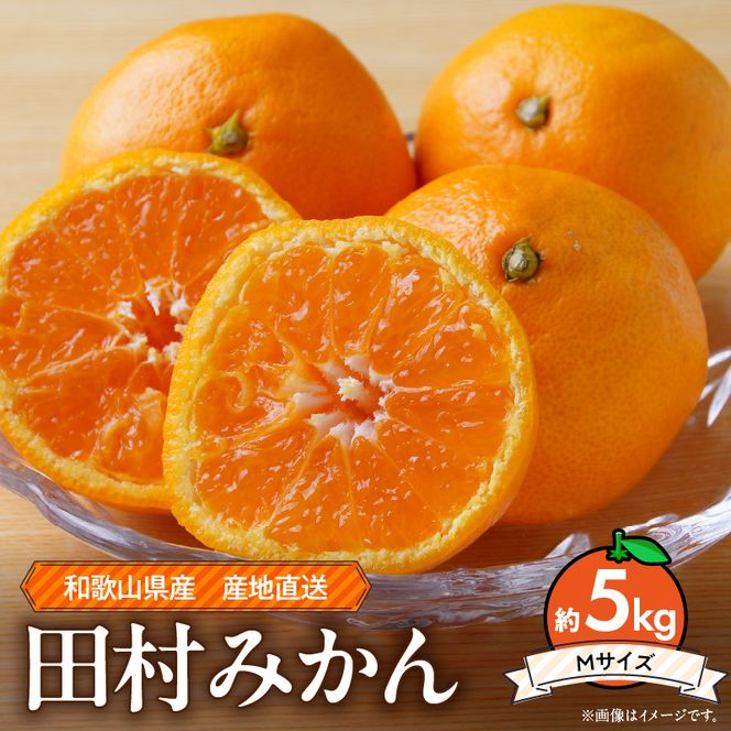 ZE6342n_【2026年先行予約】和歌山 湯浅町産 田村みかん 約5kg【Mサイズ】